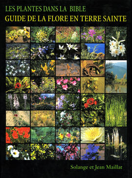 La flore en Terre Sainte La flore en Terre Sainte