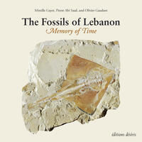 The fossils of Lebanon The fossils of Lebanon