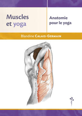 Muscles et yoga - Anatomie pour le yoga