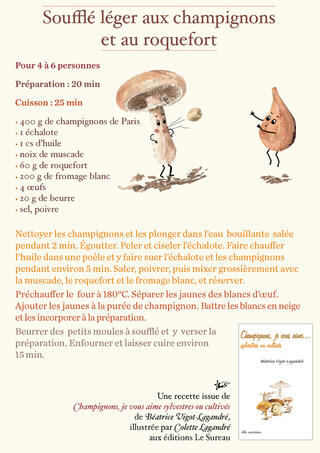 https://www.adverbum.fr/editions-le-sureau/beatrice-vigot-lagandre/champignons-je-vous-aime_11q6lmwm3qaghpi43w0lsskb2t9.html https://www.adverbum.fr/editions-le-sureau/beatrice-vigot-lagandre/champignons-je-vous-aime_11q6lmwm3qaghpi43w0lsskb2t9.html