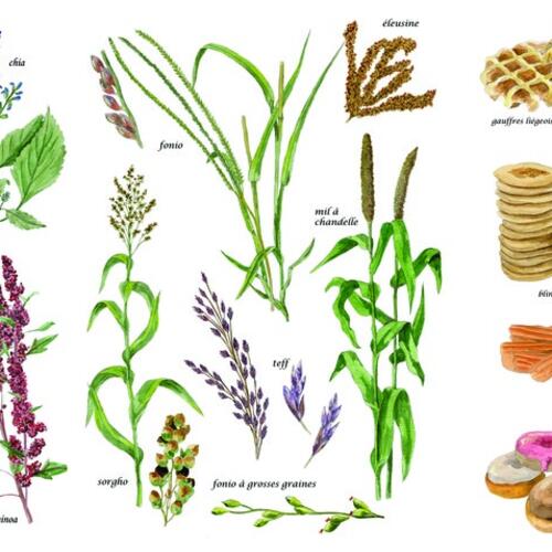 Offrez-vous une culture culinaire ! Offrez-vous une culture culinaire !