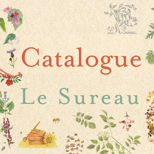 Téléchargez notre catalogue ! Téléchargez notre catalogue !